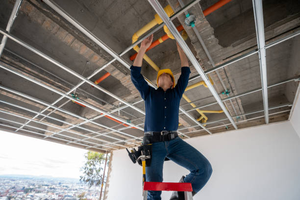Best Local Plumber Services  in Sherman, IL