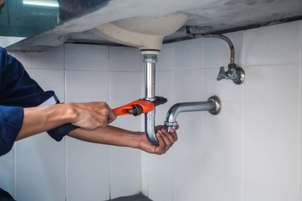 Best Faucet Repair  in Sherman, IL