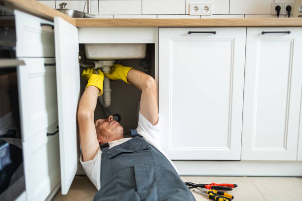 Best Clogged Drain Plumber  in Sherman, IL