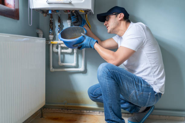 Best Same-Day Plumbing Service  in Sherman, IL
