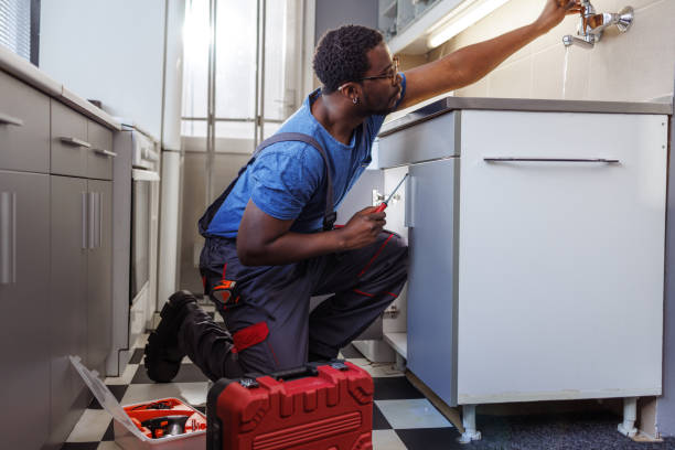 Best Emergency Plumber  in Sherman, IL