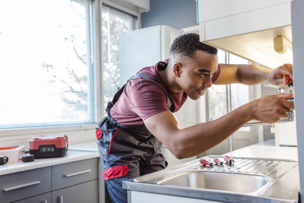 Best Plumbing Inspection Services  in Sherman, IL