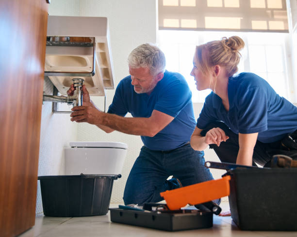 Best Sprinkler Systems  in Sherman, IL